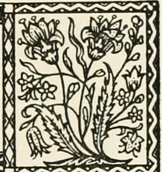 An illustration from Heraldry and floral forms as used in decoration;, 1922, leaf 134