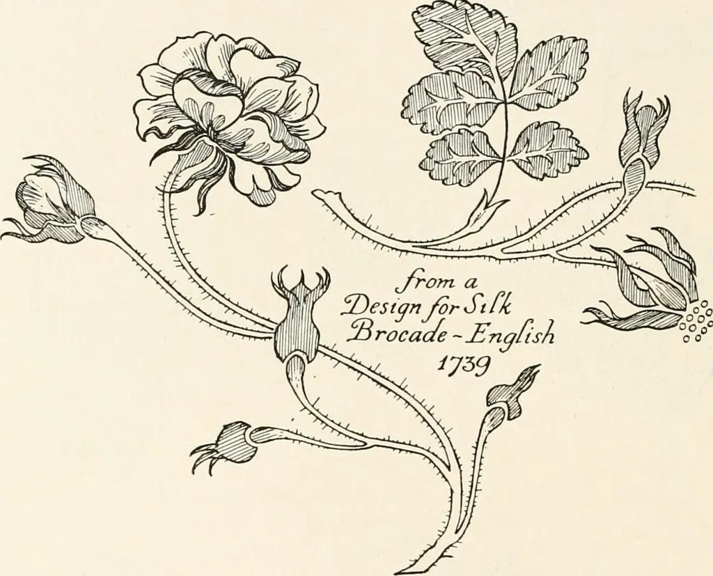 An illustration from Heraldry and floral forms as used in decoration;, 1922, leaf 137