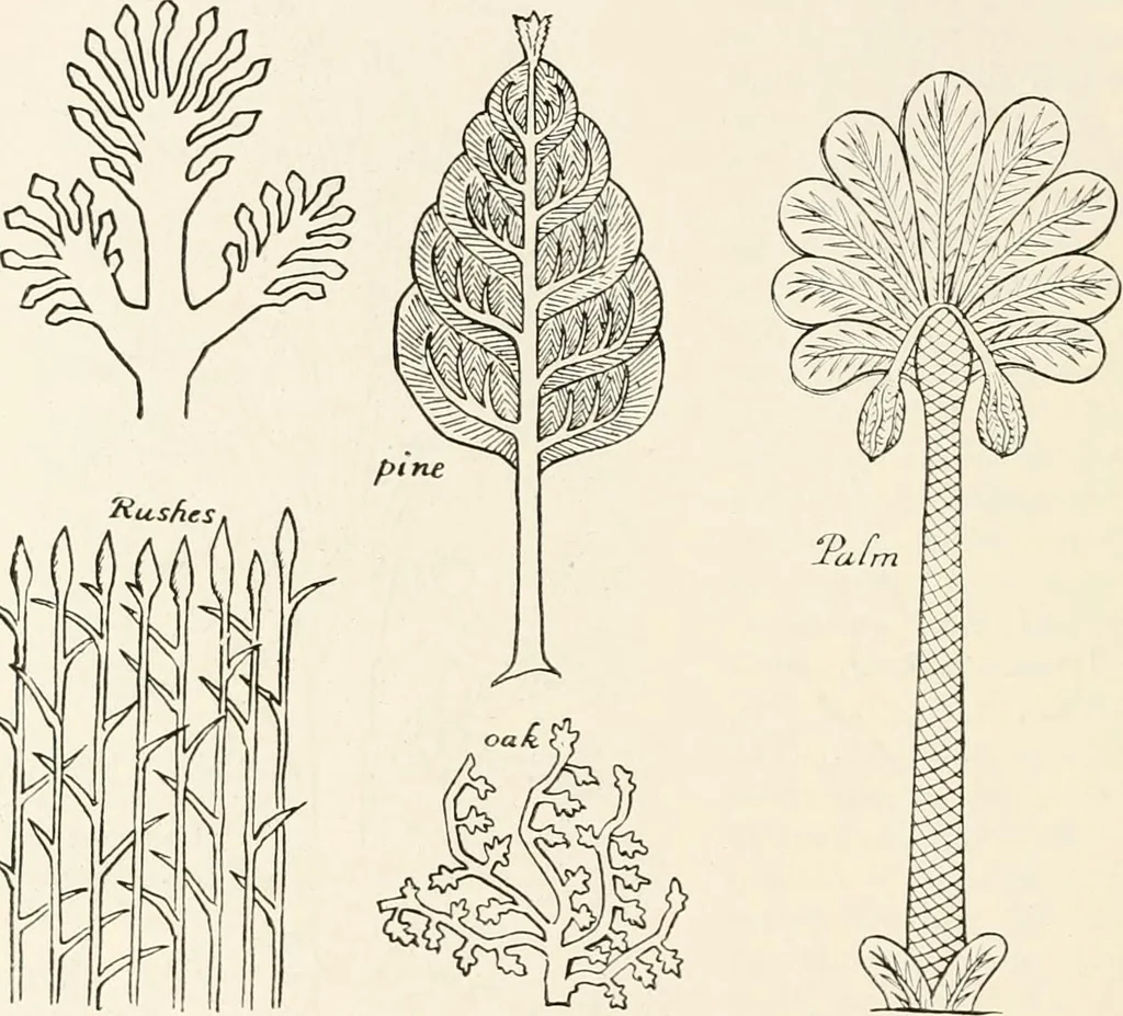An illustration from Heraldry and floral forms as used in decoration;, 1922, leaf 191
