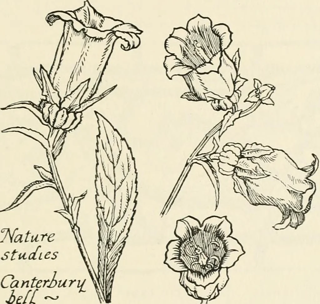 An illustration from Heraldry and floral forms as used in decoration;, 1922, leaf 220