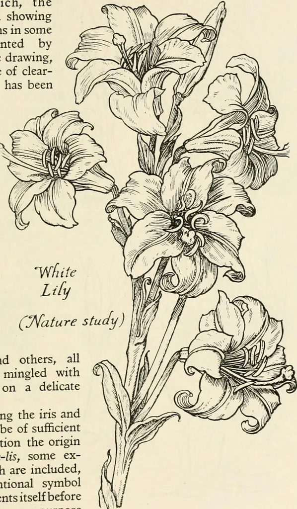 An illustration from Heraldry and floral forms as used in decoration;, 1922, leaf 236