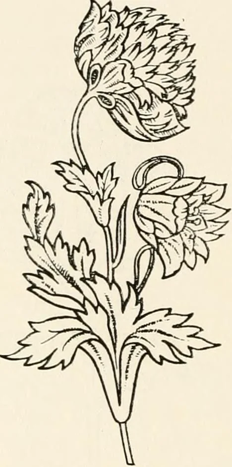 An illustration from Heraldry and floral forms as used in decoration;, 1922, leaf 251