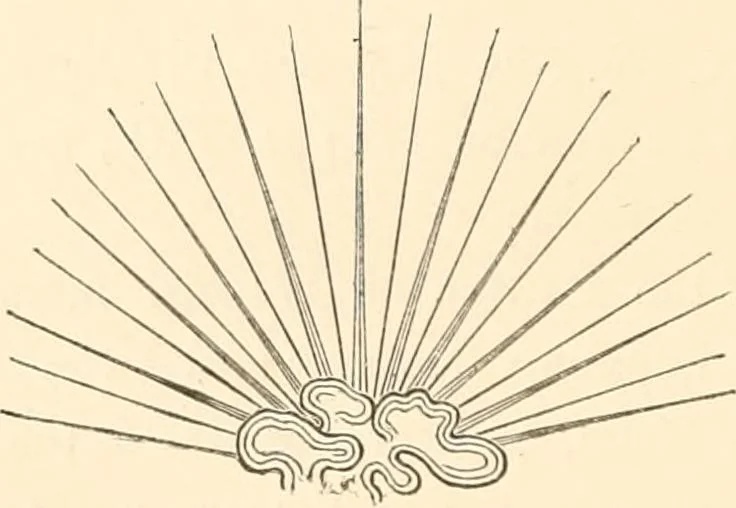 An illustration from Heraldry, historical and popular : with seven hundred illustrations, 1863, leaf 523