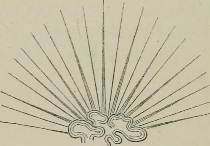 An illustration from Heraldry, historical and popular, 1864, leaf 608