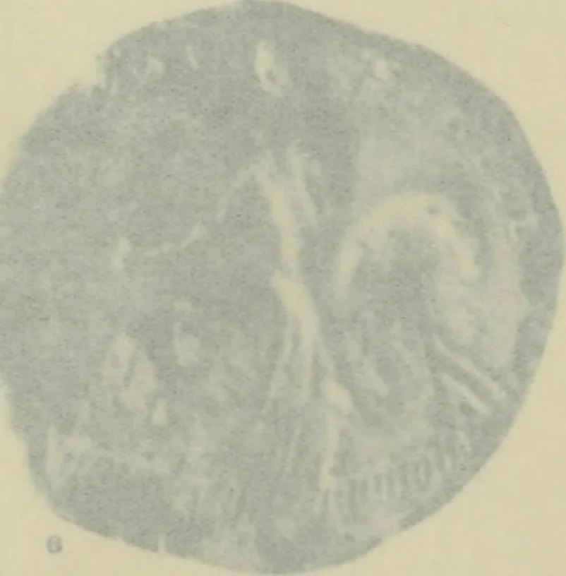 An illustration from Heraldry in Scotland : including a recension of 'The law and practice of heraldry in Scotland' by the late George Seton, 1914, leaf 56