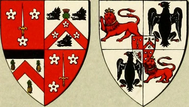 An illustration from The heraldry of the Hamiltons : with notes on all the males of the family, description of the arms, plates and pedigrees, 1909, leaf 96
