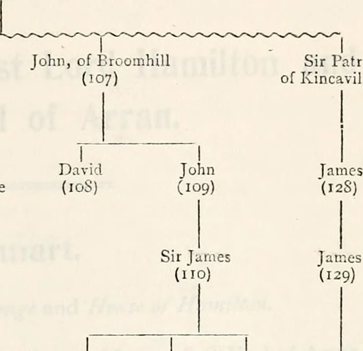 An illustration from The heraldry of the Hamiltons; with notes on all the males of the family, description of the arms, plates and pedigrees, 1909, leaf 69