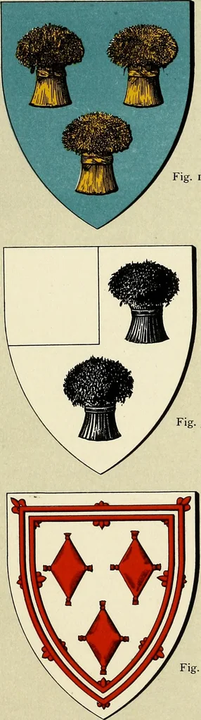 An illustration from The heraldry of the Johnstons : with notes on the different families, their arms and pedigrees, 1905, leaf 19