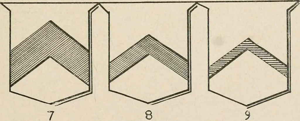 An illustration from Heraldry simplified; a popular treatise on the subject of heraldry, together with a glossary of technical terms, and nearly two hundred drawings, 1899, leaf 48
