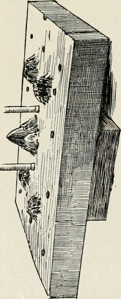 An illustration from Heralds of the morning : the meaning of the social and political problems of to-day and the significance of the great phenomena in nature, 1909, leaf 285