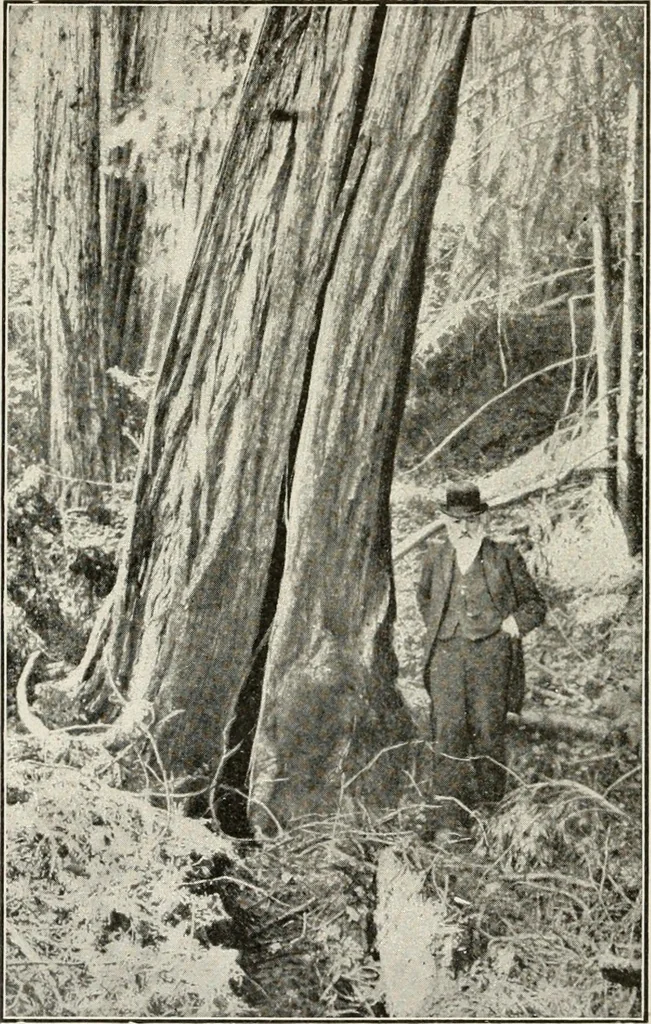 An illustration from Heralds of the morning : the meaning of the social and political problems of to-day and the significance of the great phenomena in nature, 1909, leaf 327