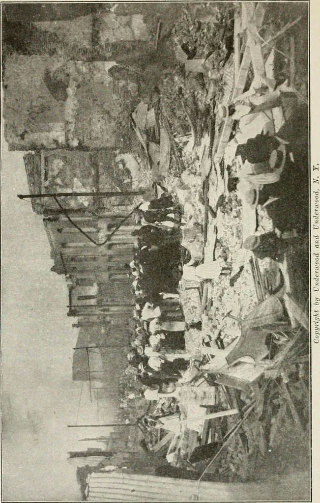 An illustration from Heralds of the morning : the meaning of the social and political problems of to-day and the significance of the great phenomena in nature, 1909, leaf 343