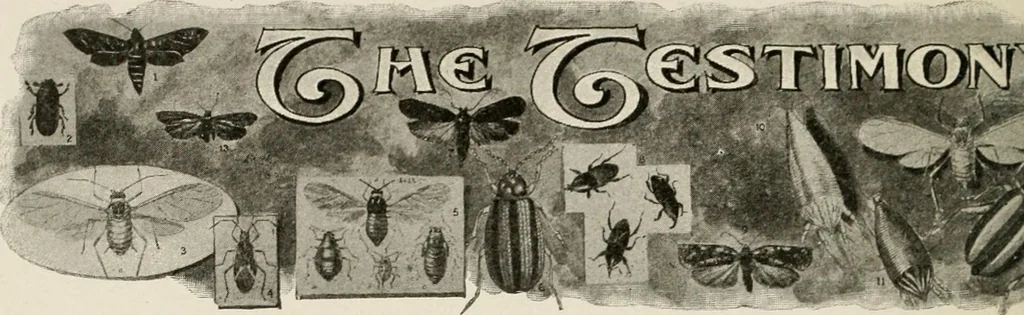 An illustration from Heralds of the morning : the meaning of the social and political problems of to-day and the significance of the great phenomena in nature, 1909, leaf 349
