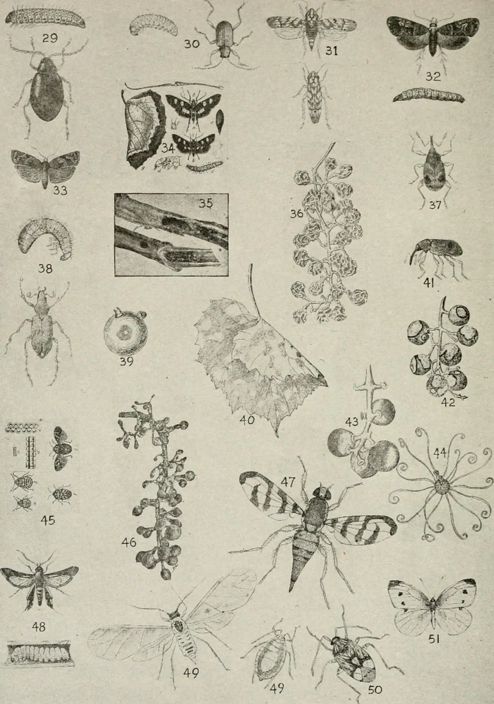 An illustration from Heralds of the morning : the meaning of the social and political problems of to-day and the significance of the great phenomena in nature, 1909, leaf 351