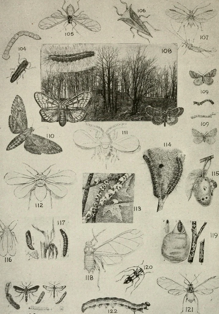An illustration from Heralds of the morning : the meaning of the social and political problems of to-day and the significance of the great phenomena in nature, 1909, leaf 357