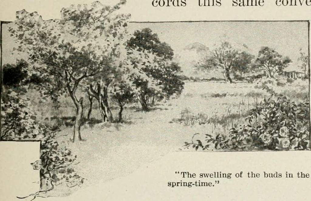 An illustration from Heralds of the morning : the meaning of the social and political problems of to-day and the significance of the great phenomena in nature, 1909, leaf 54