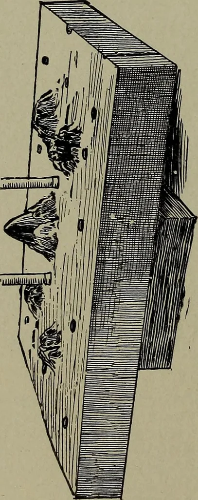 An illustration from Heralds of the morning : the meaning of the social and political problems of to-day and the significance of the great phenomena in nature, 1912, leaf 284