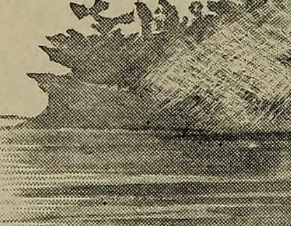 An illustration from Heralds of the morning : the meaning of the social and political problems of to-day and the significance of the great phenomena in nature, 1912, leaf 30