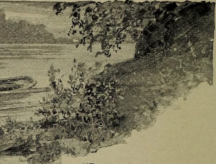 An illustration from Heralds of the morning : the meaning of the social and political problems of to-day and the significance of the great phenomena in nature, 1912, leaf 30