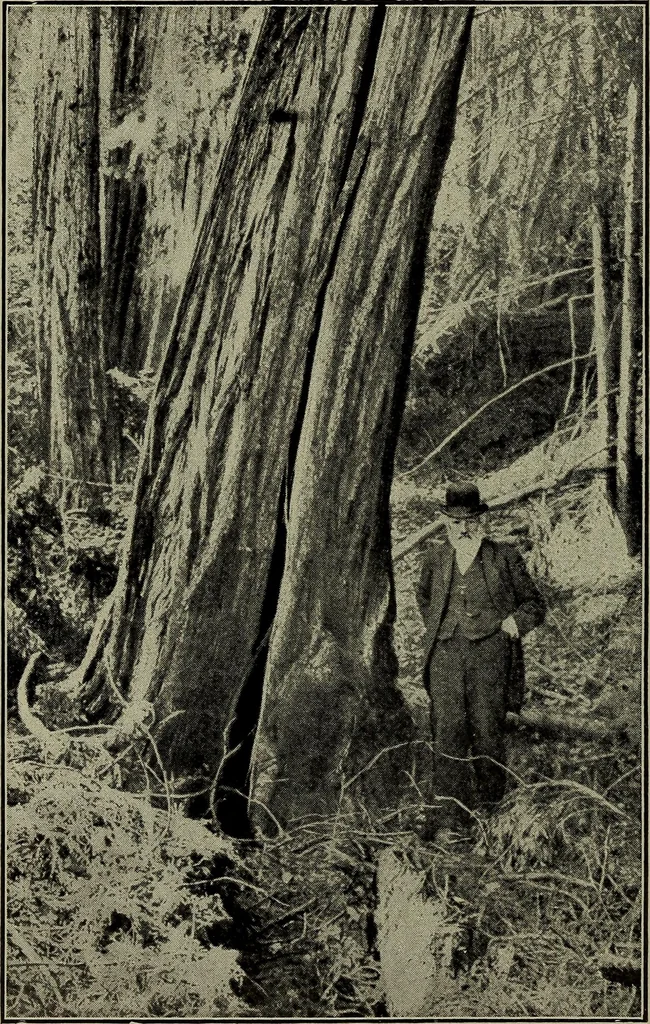 An illustration from Heralds of the morning : the meaning of the social and political problems of to-day and the significance of the great phenomena in nature, 1912, leaf 326