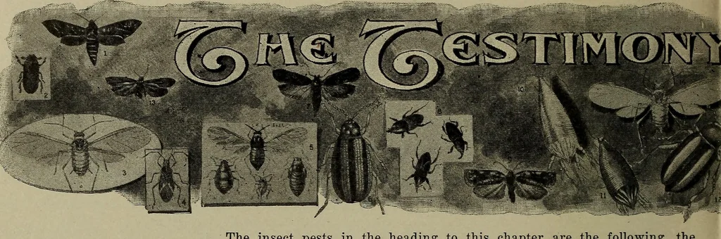 An illustration from Heralds of the morning : the meaning of the social and political problems of to-day and the significance of the great phenomena in nature, 1912, leaf 348