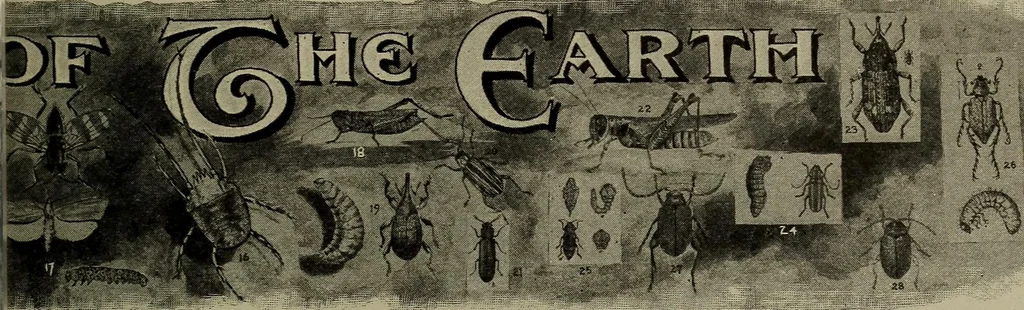 An illustration from Heralds of the morning : the meaning of the social and political problems of to-day and the significance of the great phenomena in nature, 1912, leaf 349