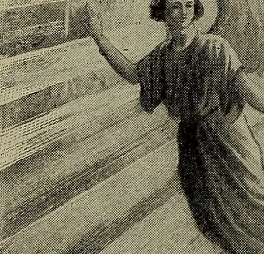 An illustration from Heralds of the morning : the meaning of the social and political problems of to-day and the significance of the great phenomena in nature, 1912, leaf 398