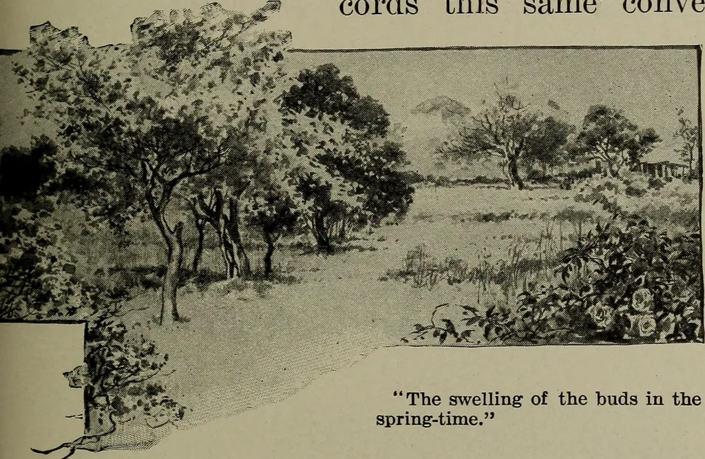 An illustration from Heralds of the morning : the meaning of the social and political problems of to-day and the significance of the great phenomena in nature, 1912, leaf 53