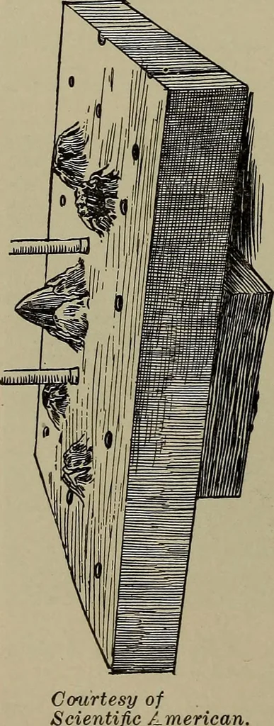 An illustration from Heralds of the morning; the meaning of the social and political problems of to-day and the significance of the great phenomena in nature .., 1909, leaf 284