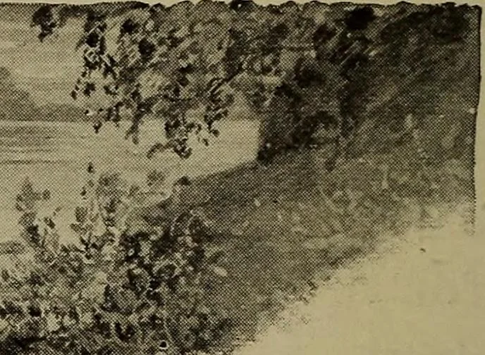 An illustration from Heralds of the morning; the meaning of the social and political problems of to-day and the significance of the great phenomena in nature .., 1909, leaf 30