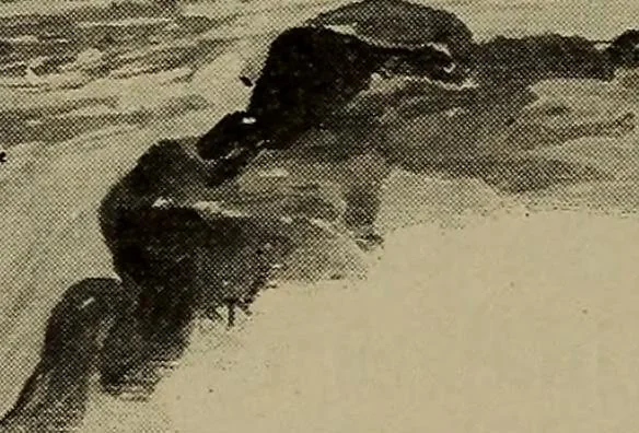 An illustration from Heralds of the morning; the meaning of the social and political problems of to-day and the significance of the great phenomena in nature .., 1909, leaf 30