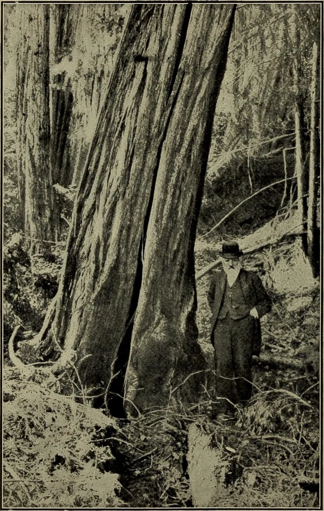 An illustration from Heralds of the morning; the meaning of the social and political problems of to-day and the significance of the great phenomena in nature .., 1909, leaf 326