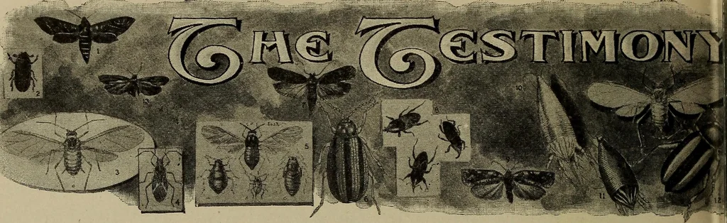 An illustration from Heralds of the morning; the meaning of the social and political problems of to-day and the significance of the great phenomena in nature .., 1909, leaf 348