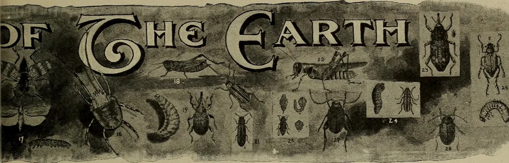An illustration from Heralds of the morning; the meaning of the social and political problems of to-day and the significance of the great phenomena in nature .., 1909, leaf 349