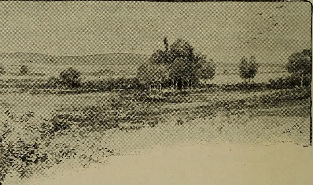An illustration from Heralds of the morning; the meaning of the social and political problems of to-day and the significance of the great phenomena in nature .., 1909, leaf 390