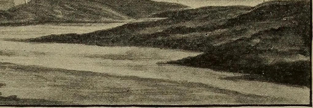 An illustration from Heralds of the morning; the meaning of the social and political problems of to-day and the significance of the great phenomena in nature .., 1909, leaf 391