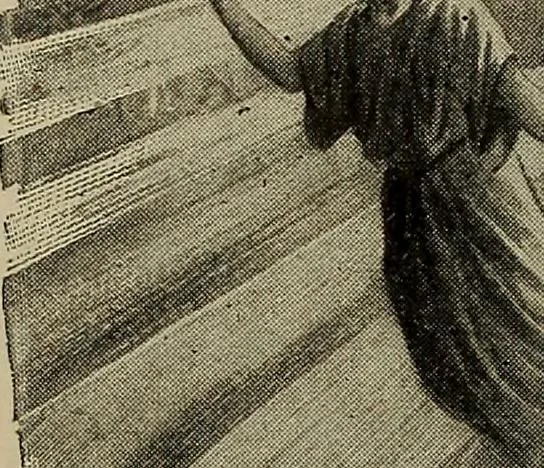 An illustration from Heralds of the morning; the meaning of the social and political problems of to-day and the significance of the great phenomena in nature .., 1909, leaf 398