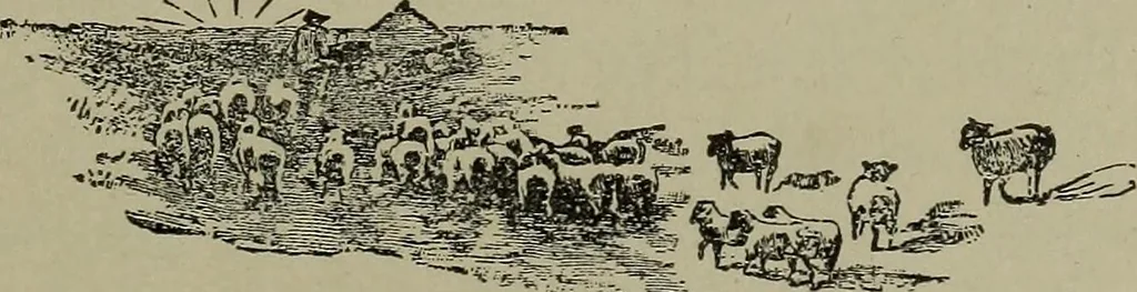 An illustration from Heralds of the morning, the meaning of the social and political problems of to-day and the significance of the great phenomena in nature .., 1899, leaf 196