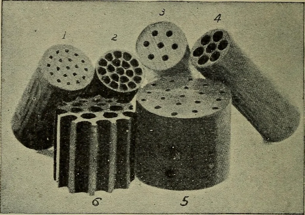 An illustration from Heralds of the morning, the meaning of the social and political problems of to-day and the significance of the great phenomena in nature .., 1899, leaf 245