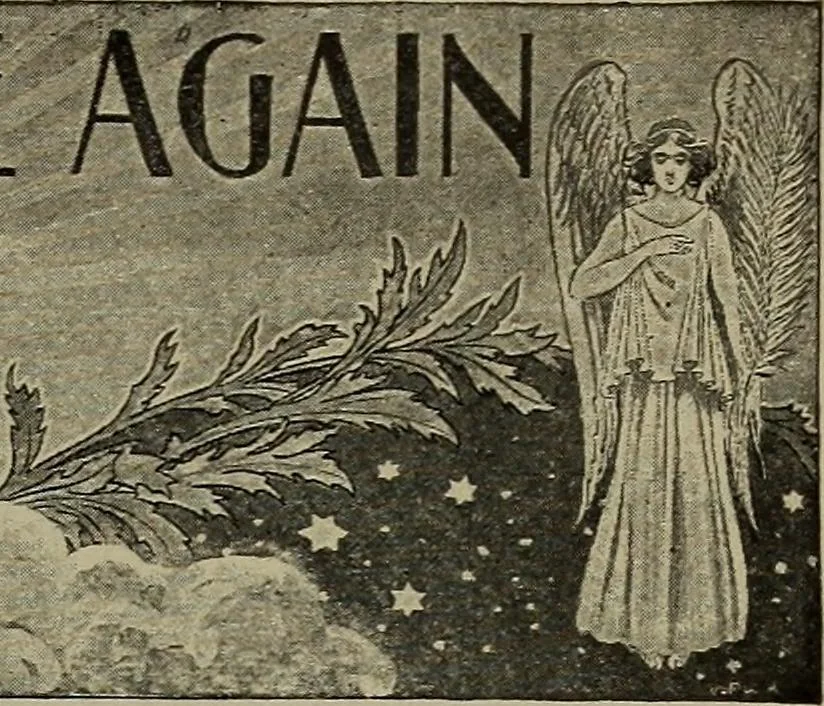 An illustration from Heralds of the morning, the meaning of the social and political problems of to-day and the significance of the great phenomena in nature .., 1899, leaf 28
