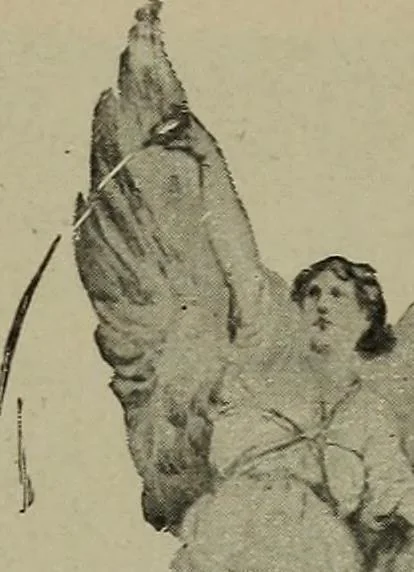 An illustration from Heralds of the morning, the meaning of the social and political problems of to-day and the significance of the great phenomena in nature .., 1899, leaf 336