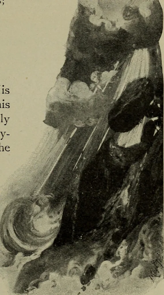 An illustration from Heralds of the morning, the meaning of the social and political problems of to-day and the significance of the great phenomena in nature .., 1899, leaf 336