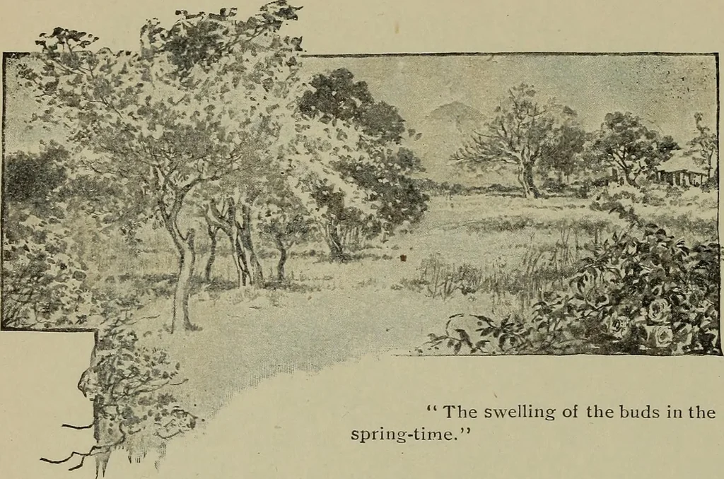 An illustration from Heralds of the morning, the meaning of the social and political problems of to-day and the significance of the great phenomena in nature .., 1899, leaf 53