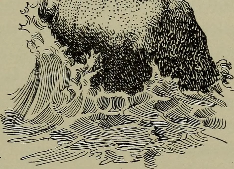 An illustration from Heralds of the morning, the meaning of the social and political problems of to-day and the significance of the great phenomena in nature .., 1899, leaf 84