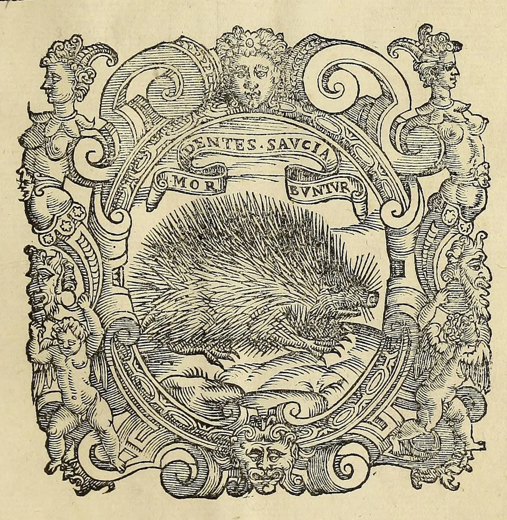 An illustration from Herbario nuouo, 1585, leaf 551