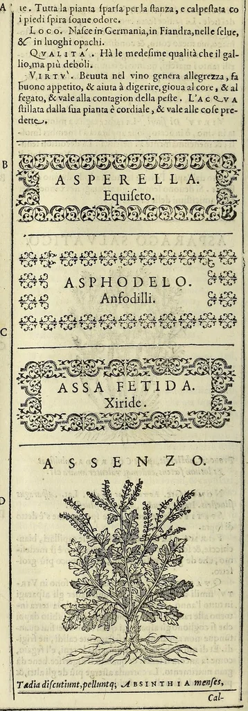 An illustration from Herbario nuouo, 1585, leaf 80