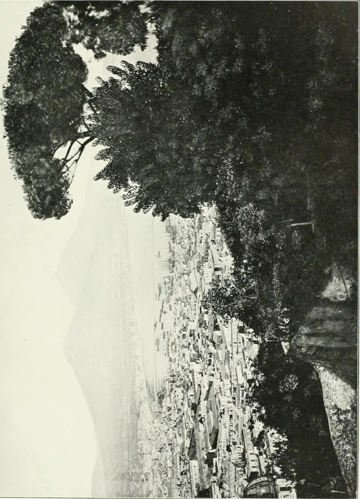 An illustration from Herculaneum, past, present & future, 1908, leaf 34