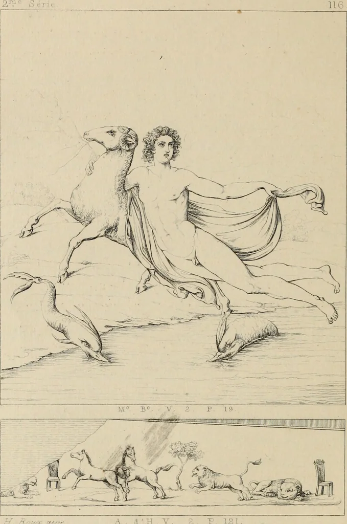 An illustration from Herculanum et Pompéi, recueil général des peintures, bronzes, mosaïques, etc., découverts jusqu'à ce jour, et reproduits d'apreès Le antichita di Ercolano, Il Museo borbonico, et tous les ouvrages analogues, 1870, leaf 105