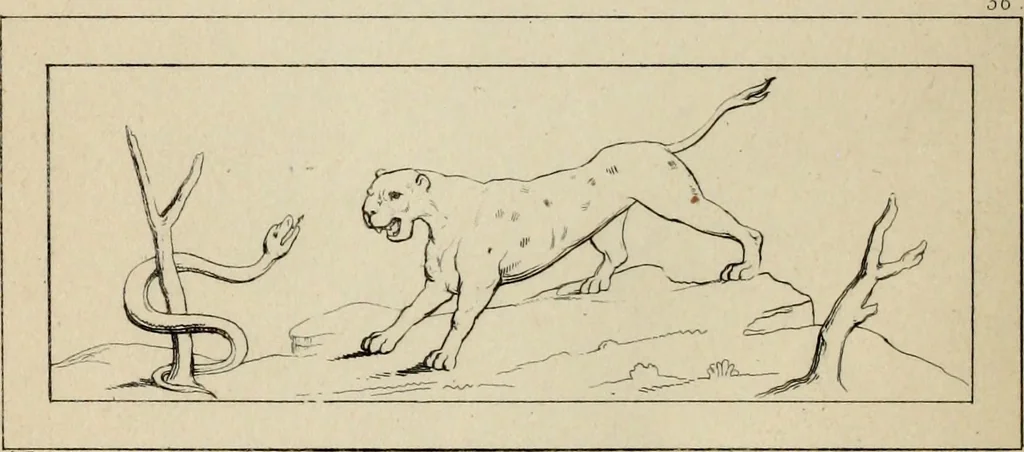 An illustration from Herculanum et Pompéi, recueil général des peintures, bronzes, mosaïques, etc., découverts jusqu'à ce jour, et reproduits d'apreès Le antichita di Ercolano, Il Museo borbonico, et tous les ouvrages analogues, 1870, leaf 127