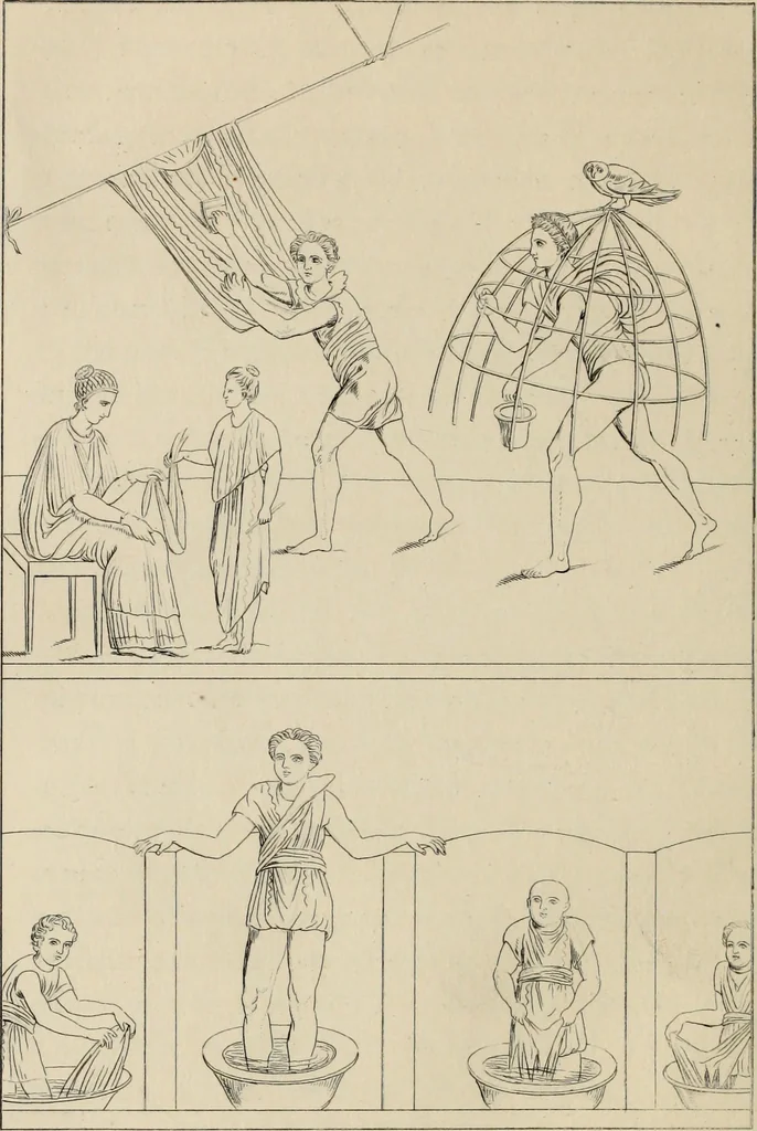 An illustration from Herculanum et Pompéi, recueil général des peintures, bronzes, mosaïques, etc., découverts jusqu'à ce jour, et reproduits d'apreès Le antichita di Ercolano, Il Museo borbonico, et tous les ouvrages analogues, 1870, leaf 147